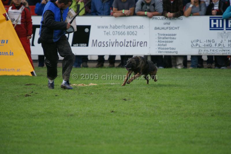 Akita von der Lilienwiese462.JPG